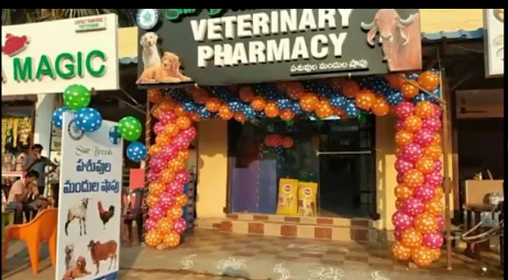 Starbreeds pet clinic Sangivalasa branch in Visakhapatnam